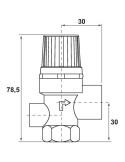 Soupape de sécurité 15x21 avec manomètre WATTS