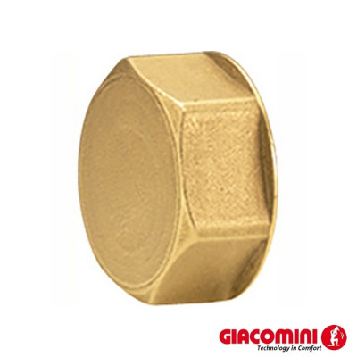 Bouchon de collecteur GIACOMINI R580 - Alésage 16 mm